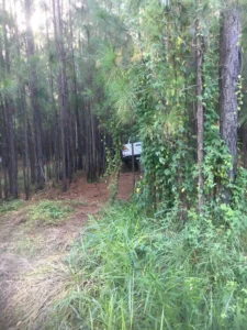 Maroochydore Towing recovery of a vehicle from a bush location on the Sunshine Coast.