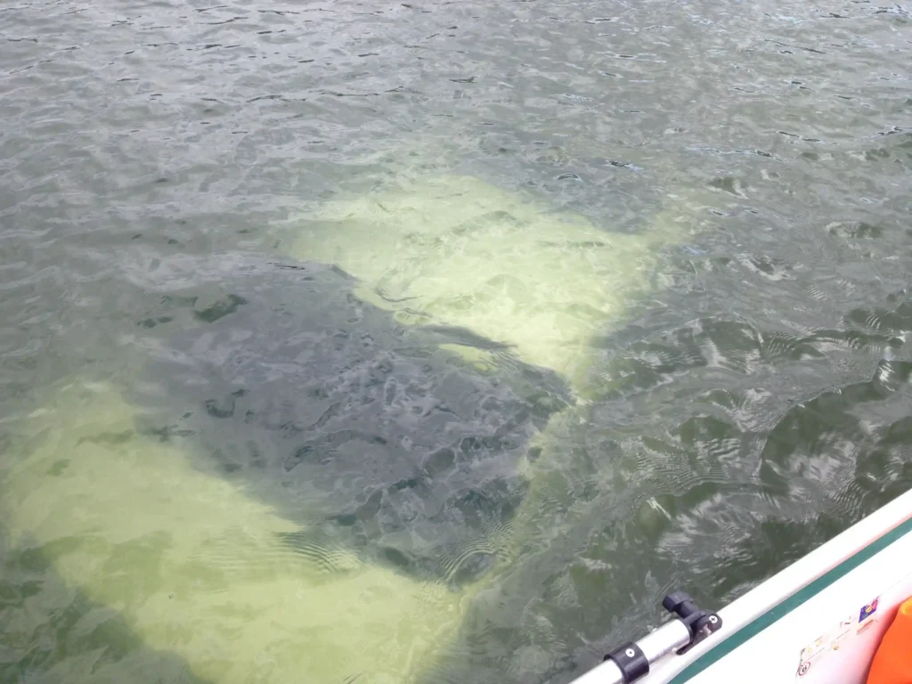 When a vehicle is in the water, it is not just about the car